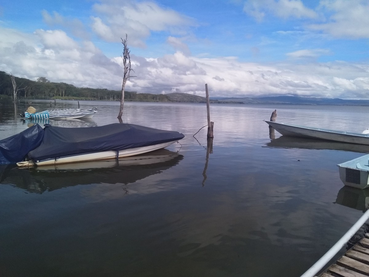 Escape to Cresent Island Part&nbsp;2